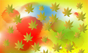 feuille of tree Free Vector Graphic
